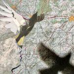 Permalink to: Create a mail-art for the CSJR's 20th anniversary