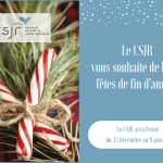 Permalink to: Joyeuses fêtes !